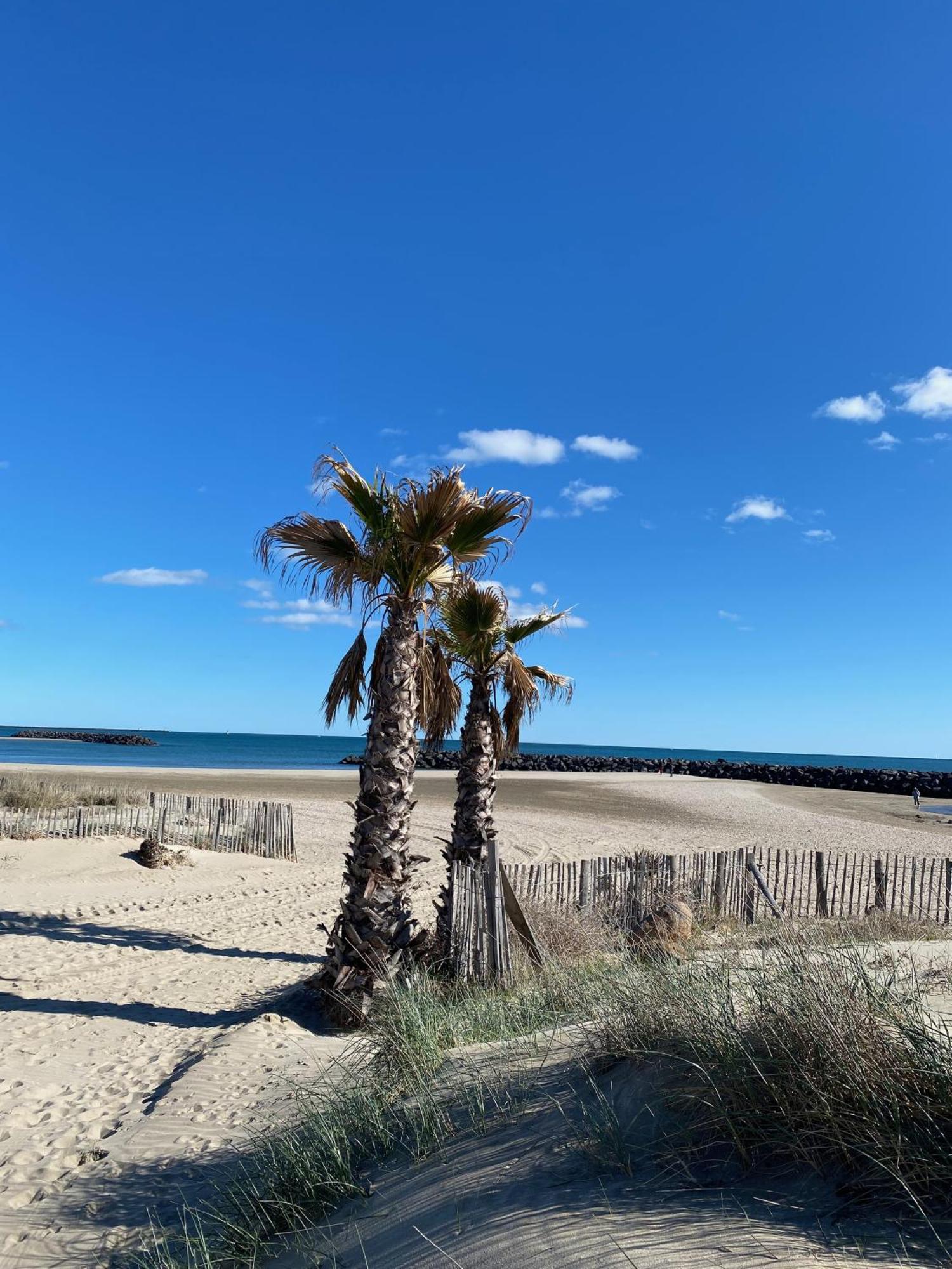 Apartment - T3 - 6 Personnes - Golf Cap D'agde